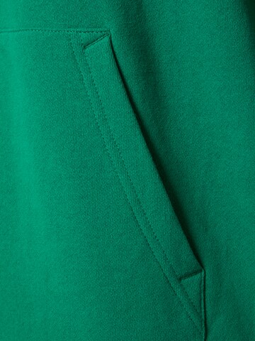 ARMEDANGELS Sweatshirt 'Paaro' in Green