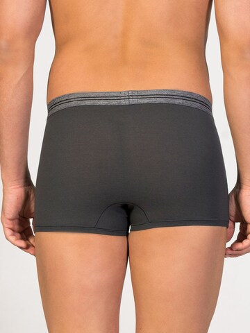 zd ZERO DEFECTS Boxershorts 'Athens Trunk' in Grau