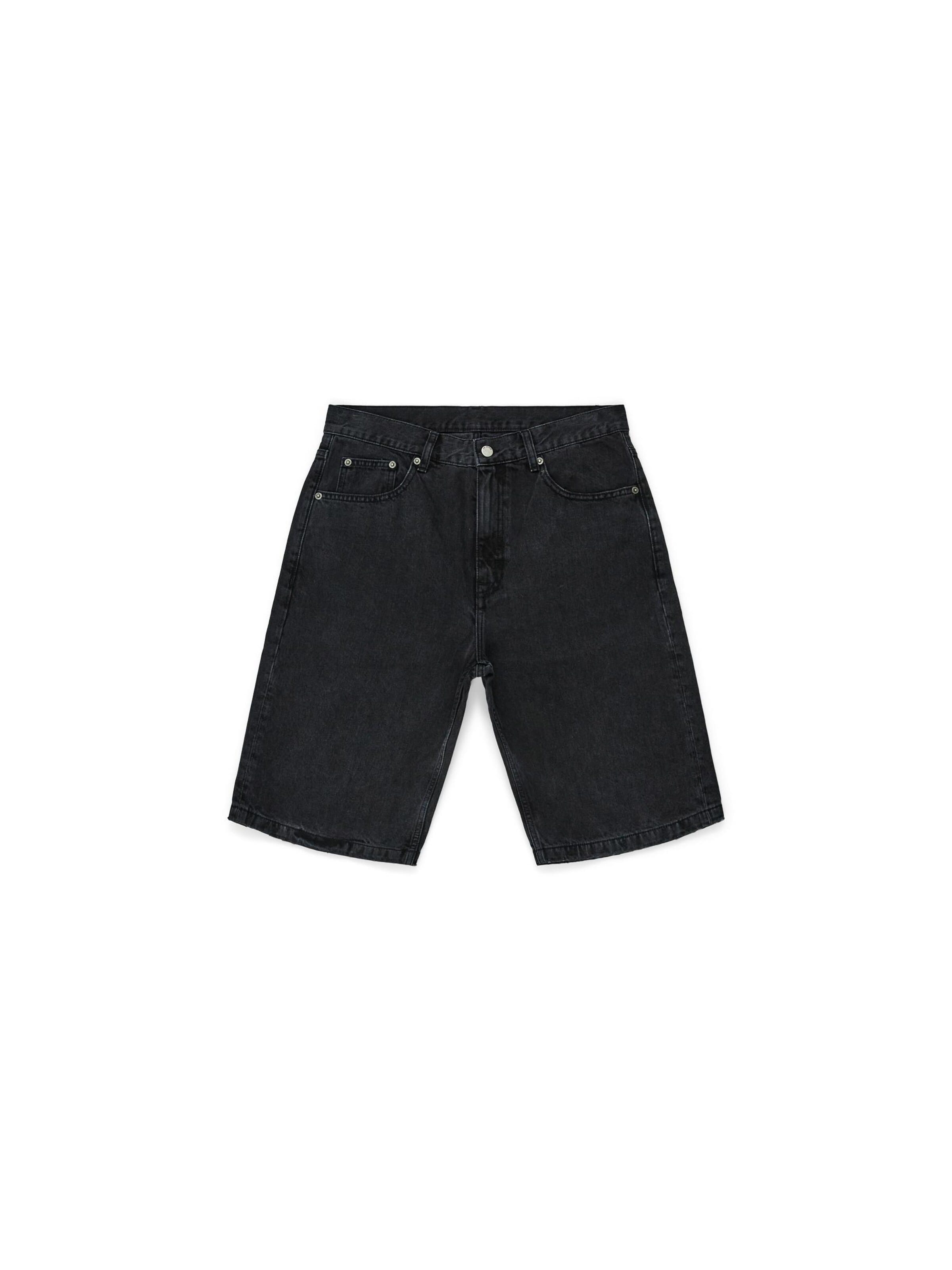 Dr. Denim Loose fit Jeans 'Omar Shorts' in Grey: front