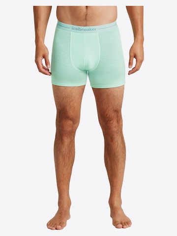 zils ICEBREAKER Bokseršorti 'M Anatomica Boxers'
