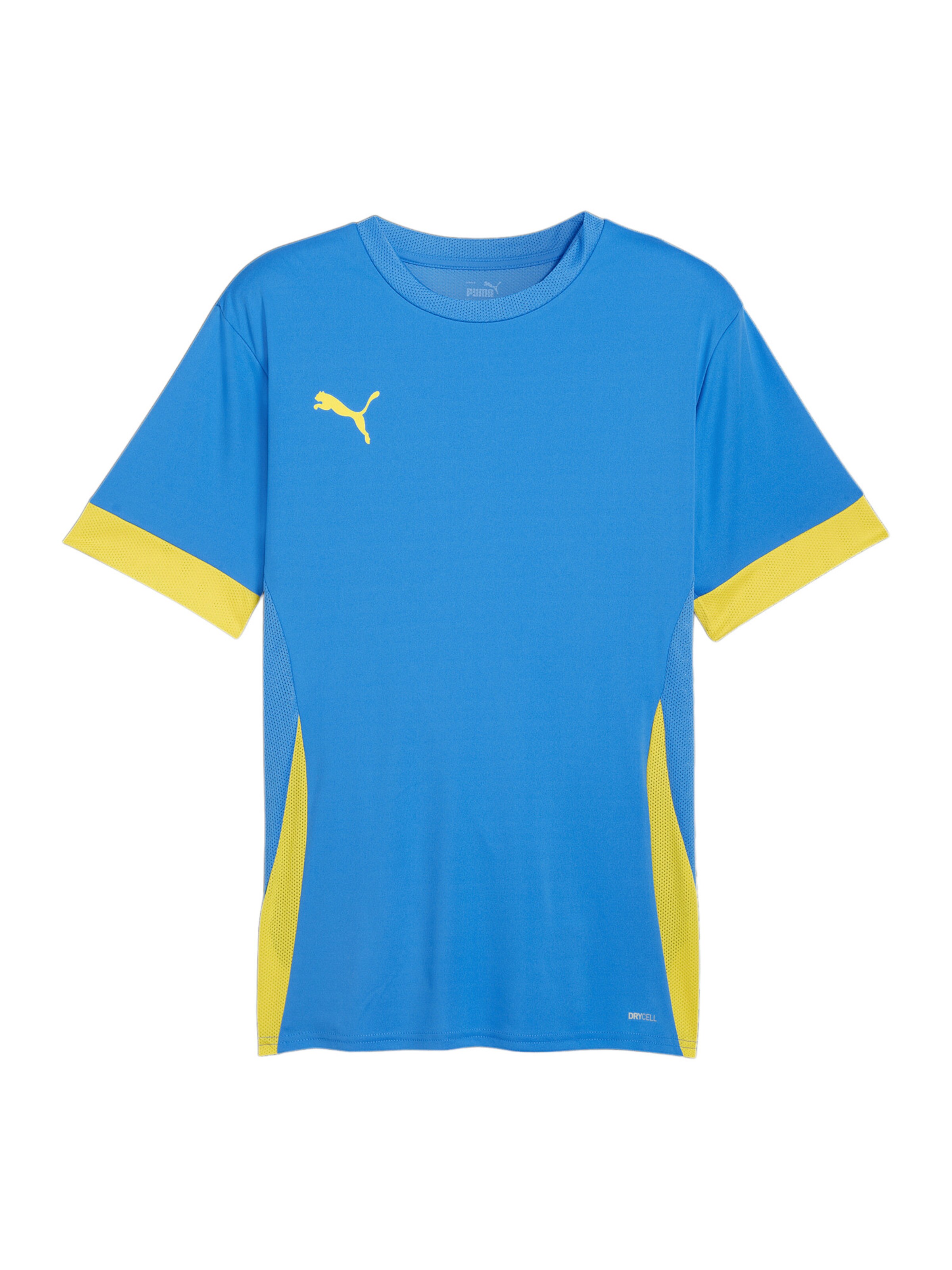 PUMA Performance Shirt 'TeamGoal Matchday' in Blue: front
