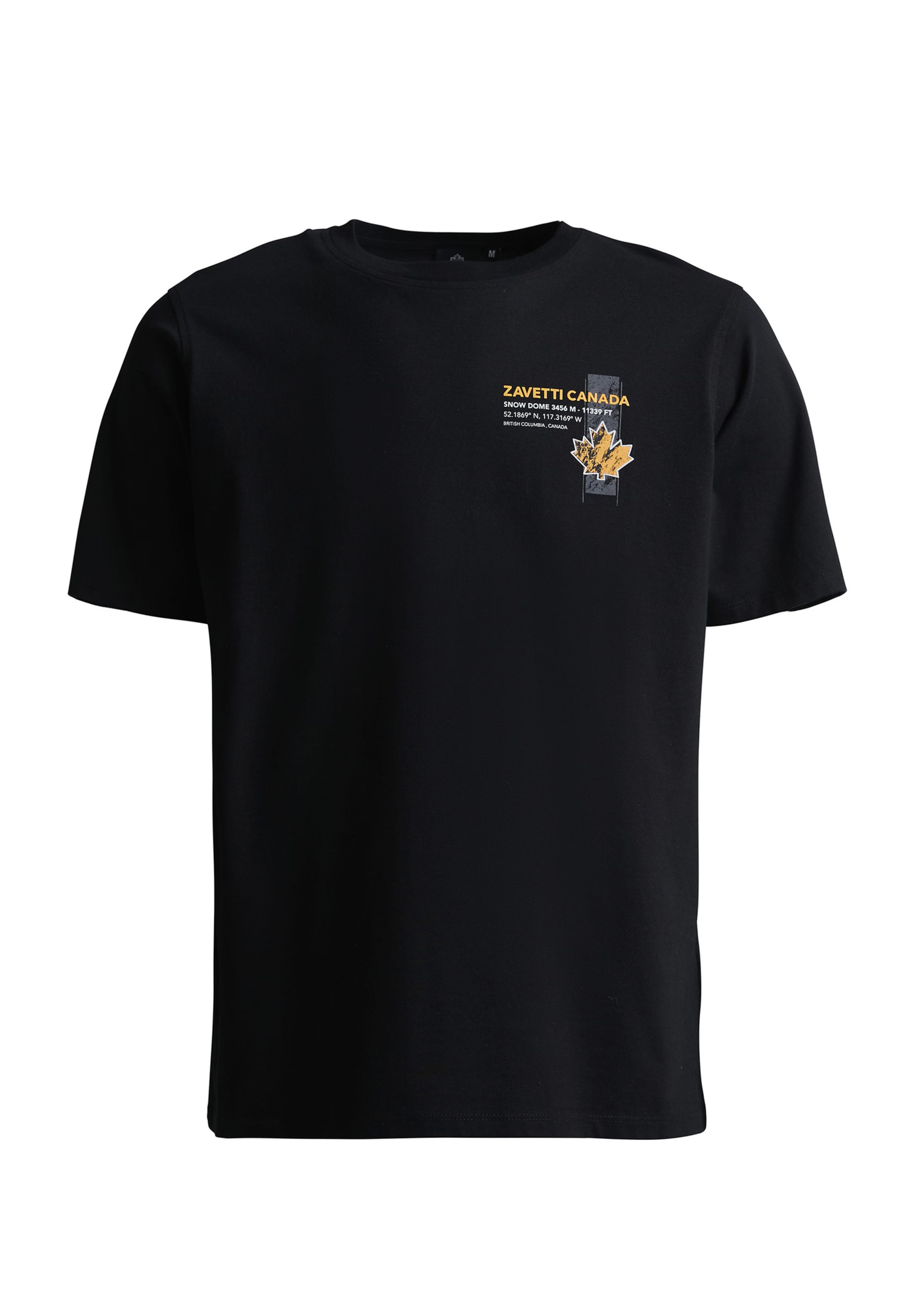 T-Shirt 'Alonso' Zavetti Canada en noir : devant