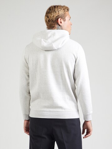 Tommy Jeans Sweatshirt i grå