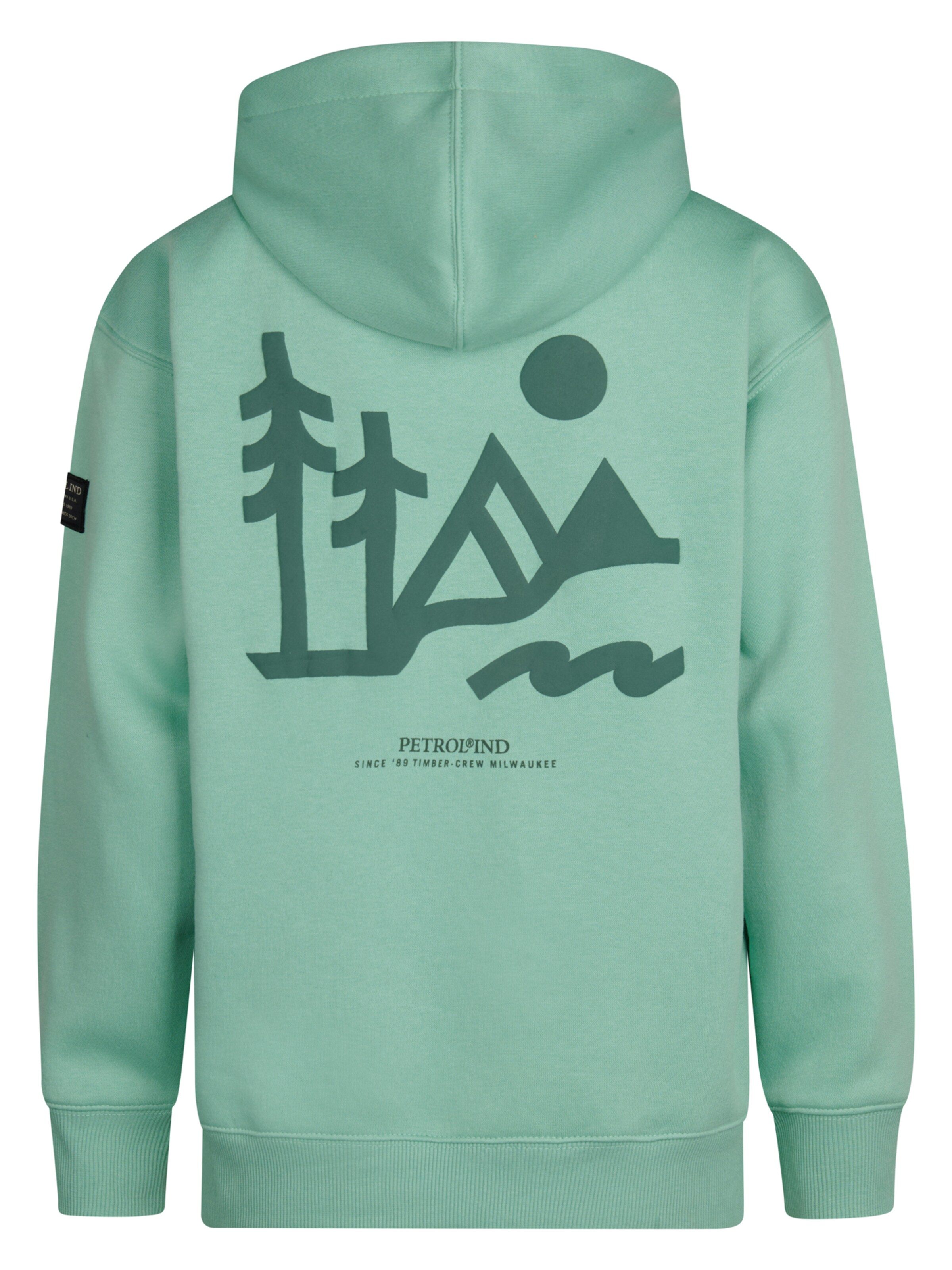 Petrol Industries Sweatshirt in Green