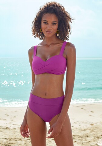 LASCANA Bikini bottom in Purple: front