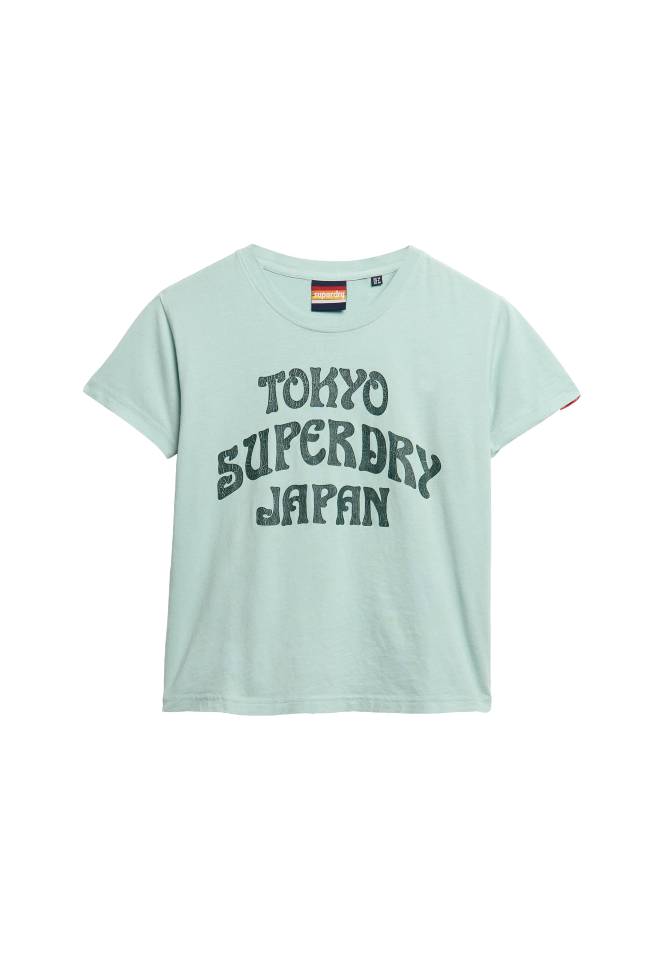 Superdry & Co T-Shirt 'Surf' in Blau: Vorderseite