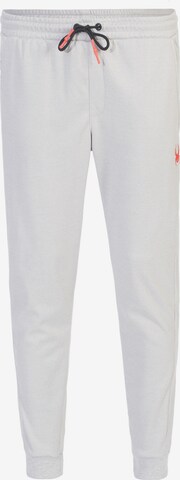 Spyder Tapered Sporthose in Grau: predná strana