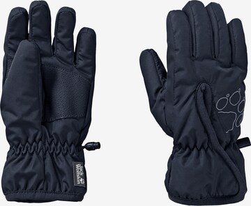 JACK WOLFSKIN Athletic Gloves 'EASY ENTRY' in Blue: front