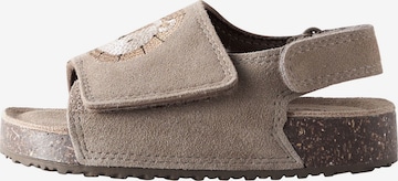 Next Avonaiset kengät värissä ruskea: etupuoli