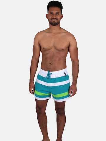Shorts de bain wavebreaker en vert : devant