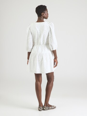 Robe & Other Stories en blanc