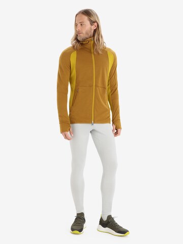 ICEBREAKER Sport sweatshirt 'Quantum ZoneKnit' i brun