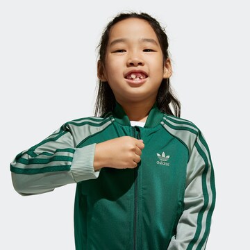 Survêtement 'Adicolor' ADIDAS ORIGINALS en vert
