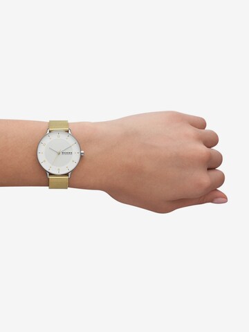 SKAGEN Analoog horloge 'Riis' in Goud: voorkant