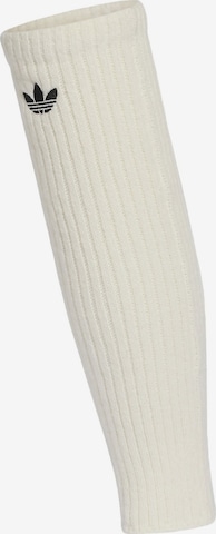 Jambière ADIDAS ORIGINALS en blanc : devant