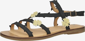 EL NATURALISTA Strap Sandals in Black: front