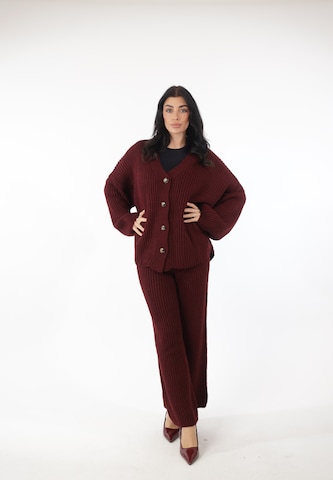 Elara Pantsuit in Red: front