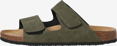 JACK & JONES Pistokkaat 'JFWCentral' koossa 40 värissä oliivi, Tuotenäkymä