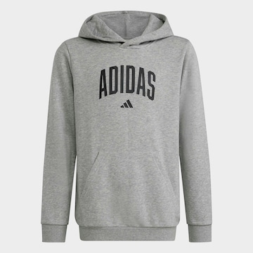 ADIDAS SPORTSWEAR Sweatshirt in Grey: front