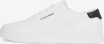 Baskets basses Calvin Klein en blanc : devant