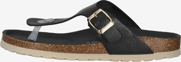 COSMOS COMFORT T-Bar Sandals in Black