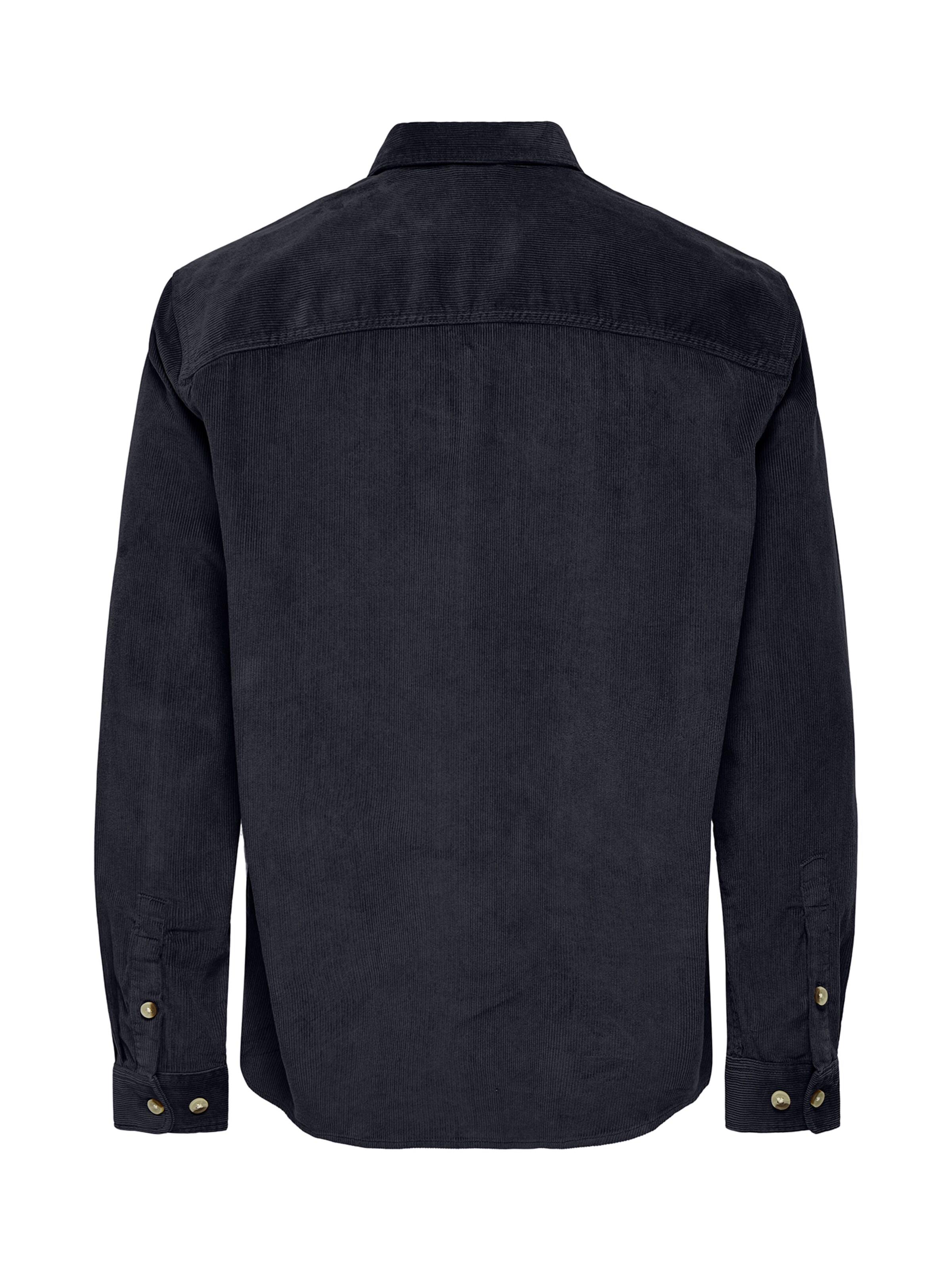 Only & Sons Comfort fit Button Up Shirt 'ONSALP' in Blue
