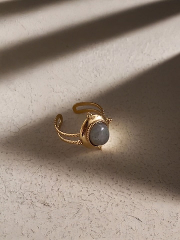 Nemomatheo Ring 'Aurora Filo' in Gold