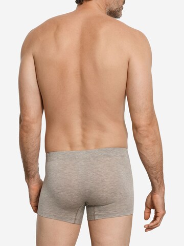 Hanro Retro Pants ' Casuals Daywear ' in Beige