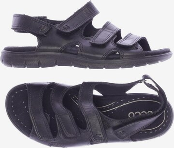 ECCO Sandals & High-Heeled Sandals in 35 in Black: front