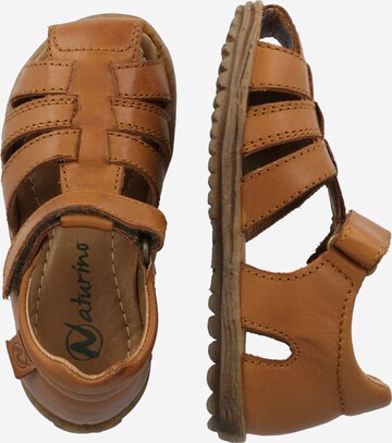 NATURINO Open shoes 'See' in Brown