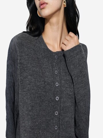 Viorna Gebreid vest in Grijs
