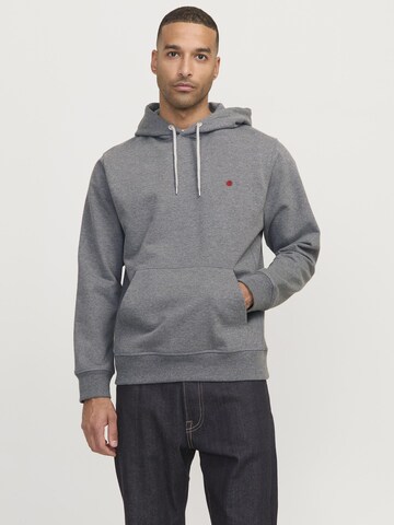 Felpa 'RDDKALID' di R.D.D. ROYAL DENIM DIVISION in grigio: frontale