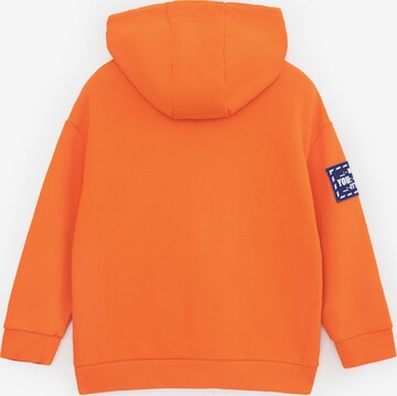 Gulliver Sweatshirt in Orange