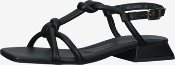 Paul Green Strap Sandals in Black: front