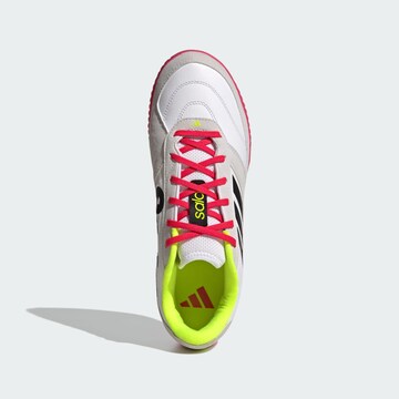 Chaussure de foot 'Top Sala Competition 2' ADIDAS PERFORMANCE en blanc