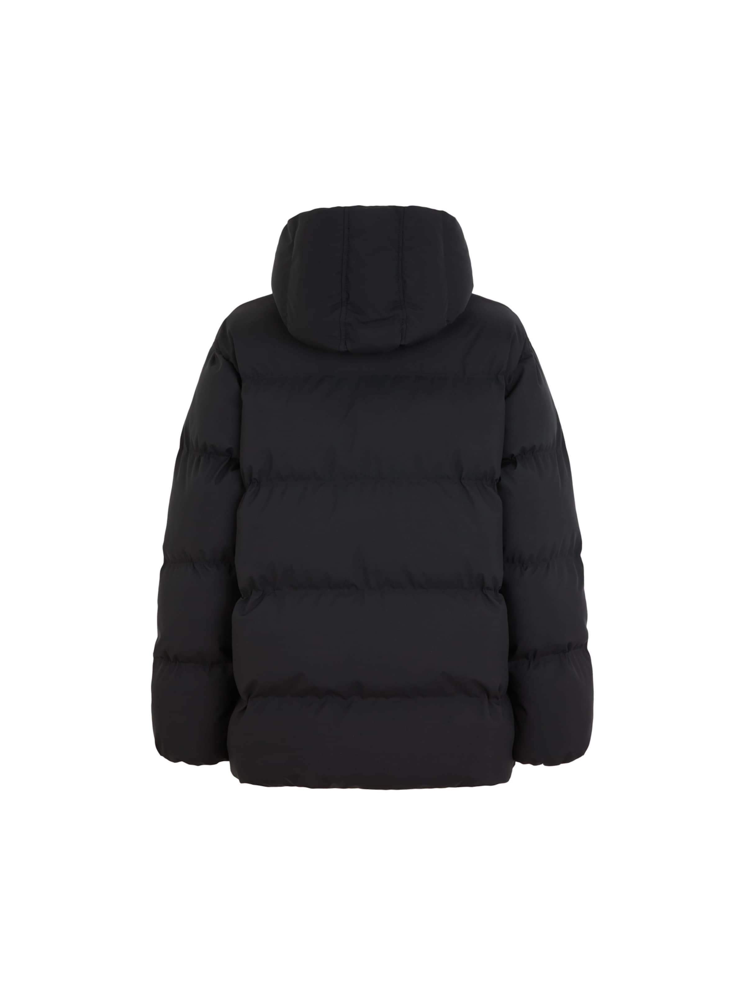 DICKIES Зимняя куртка в Черный