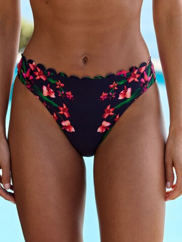 B by Ted Baker Bikini nadrágok - kék: elől
