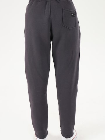 LOUIS LECLER Slimfit Broek 'Elise' in Grijs
