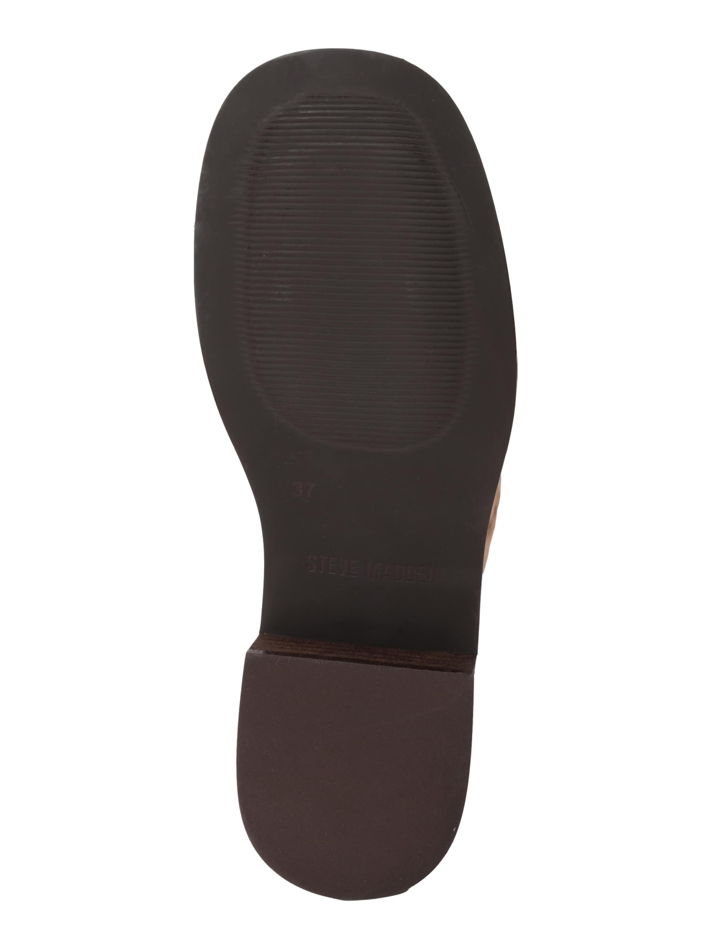 STEVE MADDEN Kozaki 'Riggs-E' w kolorze brązowy