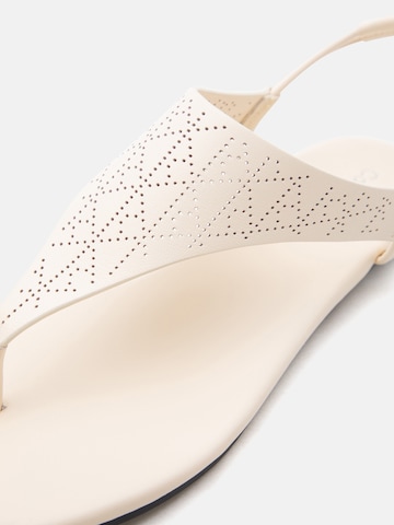 Calvin Klein Σαγιονάρες διχαλωτές σε μπεζ