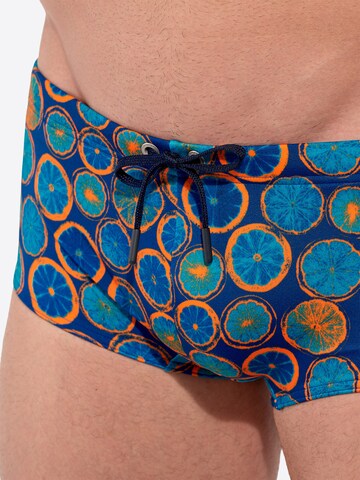 Shorts de bain ' Swim Trunk Trapani ' HOM en bleu