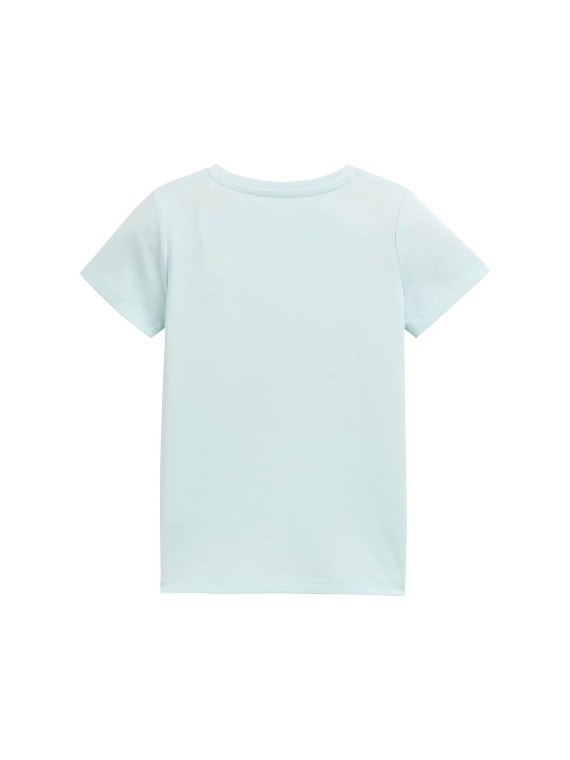 TOM TAILOR Majica | zelena barva