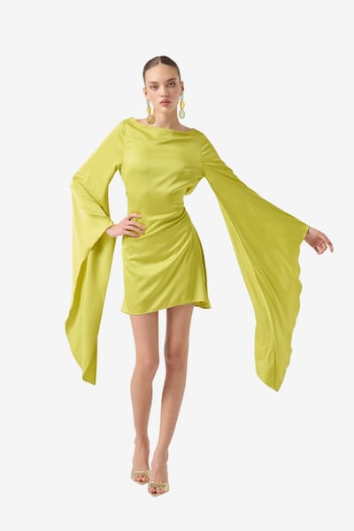 HOLLY LOLLY Kleid in 40 in apfel, Produktansicht