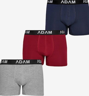 Adam Boxer shorts '3er Pack' in Grey: front