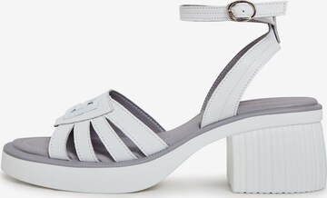 CESARE GASPARI Strap Sandals in White: front