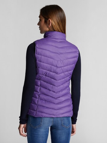 Gilet 'BAYONNE' North Sails en violet