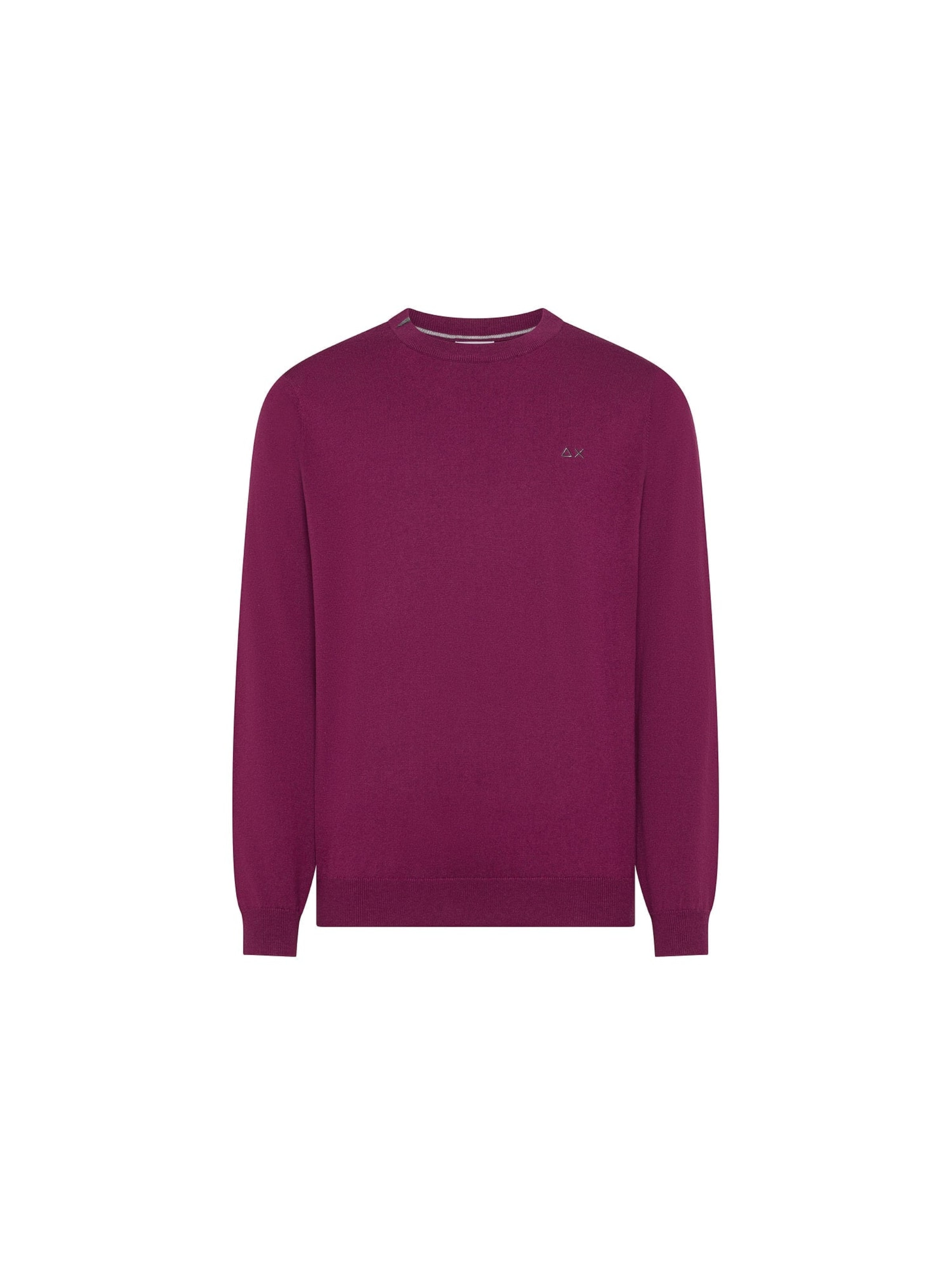 Pull-over 'Men's Crew Neck Sweater in Wool and Cotton' SUN68 en violet : devant