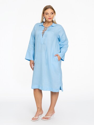 Yoek Dress in Blue: front