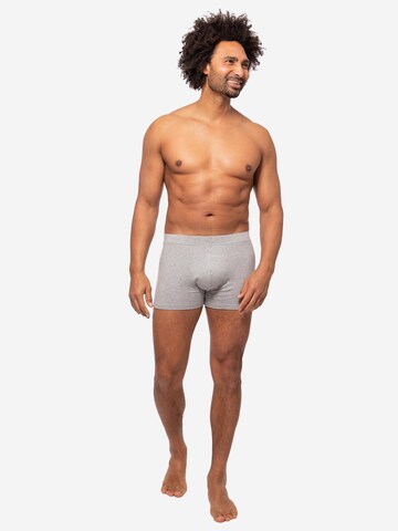 Almonu Boxer shorts 'Cotton' in Grey