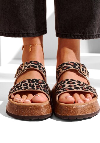 LASCANA Fußkette in Gold